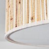 Foggia Plafonnier Nickel mat, 3 lumières