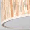 Foggia Plafonnier Nickel mat, 3 lumières