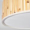 Foggia Plafonnier Nickel mat, 3 lumières