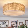 Foggia Plafonnier Nickel mat, 3 lumières
