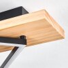 Pompu Plafonnier LED Bois clair, Noir, 2 lumières