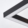 Pompu Plafonnier LED Bois clair, Noir, 2 lumières