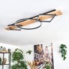 Pompu Plafonnier LED Bois clair, Noir, 2 lumières