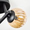 Chehalis Plafonnier, Boule lumineuse Ambre, Fumé, 3 lumières