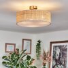 Foggia Plafonnier Nickel mat, 3 lumières