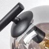 Gastor Plafonnier, Boule lumineuse Ambre, Clair, Fumé, 3 lumières