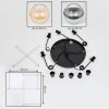 Koyoto Suspension, Boule lumineuse, Suspension grappe Ambre, Clair, Fumé, 5 lumières