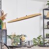 Fugelsta Suspension, Suspension LED Noir, 1 lumière