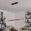 Fugelsta Suspension, Suspension LED Noir, 1 lumière
