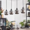 Fanhaes Suspension, Suspension Chrome, Fumé, 4 lumières
