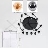 Ripoll Suspension, Boule lumineuse, Suspension grappe Ambre, Fumé, 5 lumières