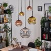 Ripoll Suspension, Boule lumineuse, Suspension grappe Chrome, Or, Clair, Cuivré, Fumé, 5 lumières