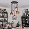 Ripoll Suspension, Boule lumineuse, Suspension grappe Chrome, Or, Clair, Cuivré, Fumé, 5 lumières