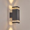 Tureby Lampe murale d´extérieur, Applique murale Anthracite, Transparent, 2 lumières