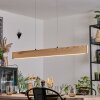 Fugelsta Suspension, Suspension LED Noir, 1 lumière