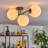 Gastor Plafonnier, Boule lumineuse Blanc, 3 lumières