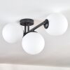 Gastor Plafonnier, Boule lumineuse Blanc, 3 lumières