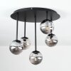 Chehalis Plafonnier, Boule lumineuse Fumé, 5 lumières
