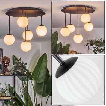 Chehalis Plafonnier, Boule lumineuse Blanc, 5 lumières