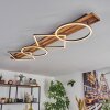 Pompu Plafonnier LED Bois foncé, Noir, 1 lumière