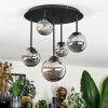 Chehalis Plafonnier, Boule lumineuse Fumé, 5 lumières