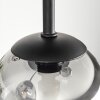 Chehalis Plafonnier, Boule lumineuse Clair, Fumé, 5 lumières