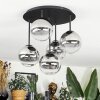 Chehalis Plafonnier, Boule lumineuse Clair, Fumé, 5 lumières
