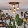 Chehalis Plafonnier, Boule lumineuse Ambre, Clair, 5 lumières