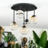 Chehalis Plafonnier, Boule lumineuse Ambre, Clair, Fumé, 5 lumières