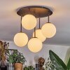 Chehalis Plafonnier, Boule lumineuse Blanc, 5 lumières