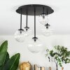 Chehalis Plafonnier, Boule lumineuse Clair, 5 lumières