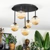 Chehalis Plafonnier, Boule lumineuse Ambre, 5 lumières