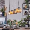 Ripoll Suspension, Boule lumineuse, Suspension Ambre, Clair, Fumé, 4 lumières