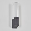 Isara Lampe murale d´extérieur, Applique murale LED Anthracite, 1 lumière