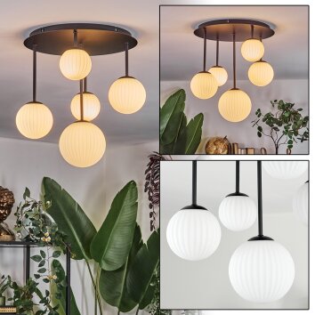 Chehalis Plafonnier, Boule lumineuse Blanc, 5 lumières