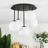 Chehalis Plafonnier, Boule lumineuse Blanc, 5 lumières