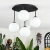 Chehalis Plafonnier, Boule lumineuse Blanc, 5 lumières