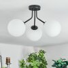 Gastor Plafonnier, Boule lumineuse Blanc, 3 lumières