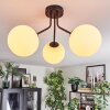 Gastor Plafonnier, Boule lumineuse Blanc, 3 lumières
