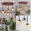 Chehalis Plafonnier, Boule lumineuse Ambre, Clair, Fumé, 5 lumières