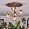 Chehalis Plafonnier, Boule lumineuse Ambre, Clair, Fumé, 5 lumières