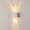 Applique murale d'extérieur Windhoek LED Blanc, 2 lumières