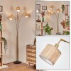 Bongal Lampadaire Laiton, Noir, 3 lumières