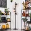 Koyoto Lampadaire 31 cm Ambre, Clair, Fumé, 5 lumières
