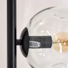 Ripoll Lampadaire Clair, 5 lumières