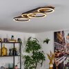 Cascada Plafonnier LED Brun, Couleur bois, Noir, 1 lumière
