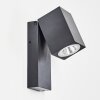 Applique murale d'extérieur Hilton Anthracite, 1 lumière