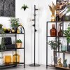 Koyoto Lampadaire 31 cm Clair, 5 lumières
