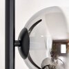 Koyoto Lampadaire 31 cm Chrome, Clair, Fumé, 5 lumières