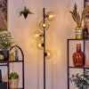 Ripoll Lampadaire Ambre, Clair, 5 lumières